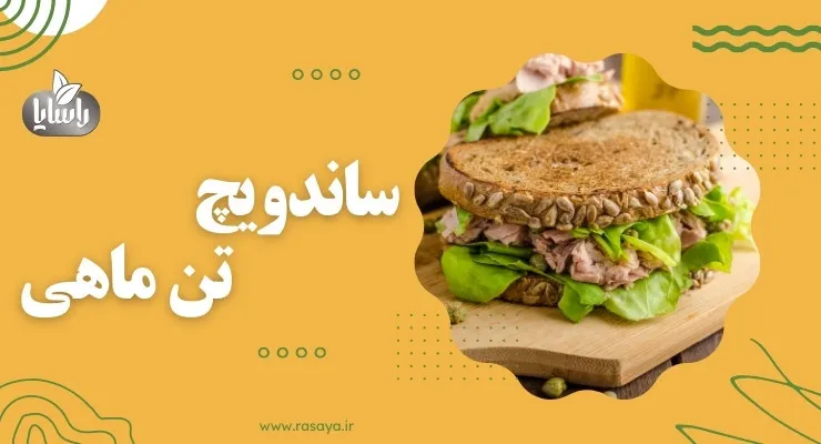ساندویچ تن ماهی با خیارشور