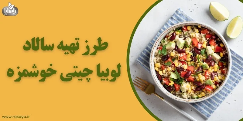 طرز تهیه سالاد لوبیا چیتی