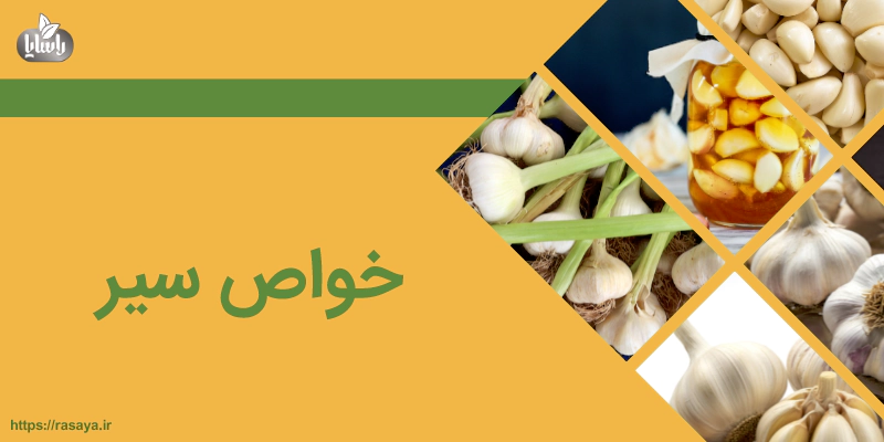 خواص سیر | فواید سیر