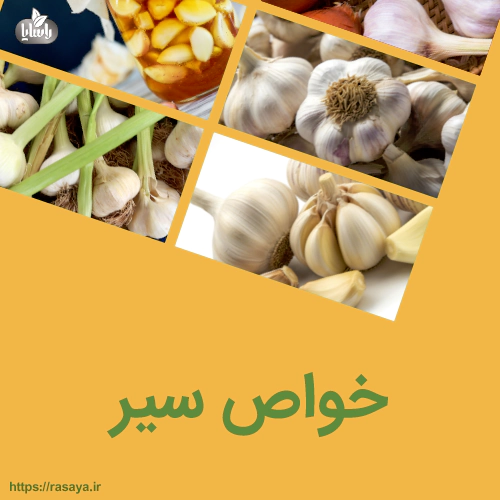 خواص سیر